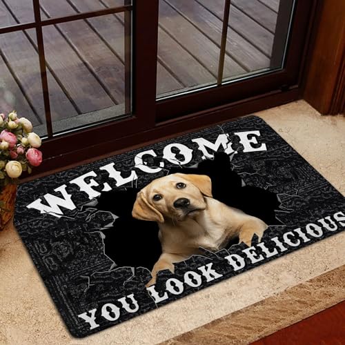PuseTaer Fußmatte mit Aufschrift "Welcome You Look Delicious", niedlicher Labrador, lustiger Badezimmerteppich, rutschfeste Fußmatte für Zuhause, Eingang, Terrasse, stark frequentierte Bereiche, 40,6 von PuseTaer