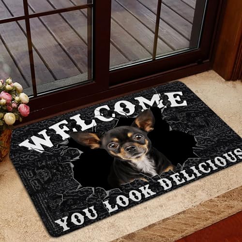 You Look Delicious Fußmatte Chihuahua Willkommens-Fußmatte, rutschfest, Gummi, Badezimmerteppich, kleine Teppiche für Innen- und Außenbereich, 45,7 x 76,2 cm von PuseTaer