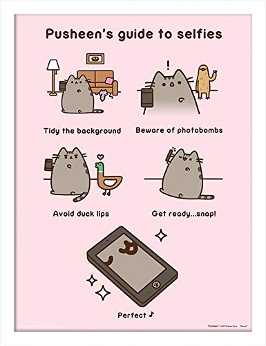 Pusheen Memorabilia, Mehrfarbig, 30 x 40cm von Pusheen