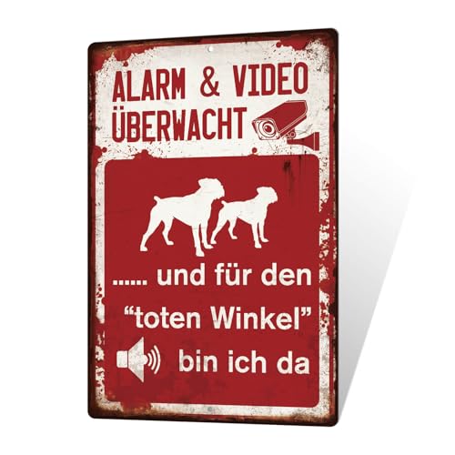Putuo Decor Warnschild – Alarm & Video Überwacht Blechschild, Hundewarnung, Sicherheits-Schild für Haus & Grundstück, 30x20cm (ALARM & VIDEO) von Putuo Decor
