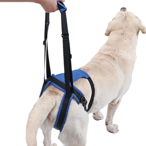 Puwaiio Hunde-Stützgeschirr – Rückenstütze für Haustiere, verstellbar, für behinderte Tiere, Heben, Spazierengehen, Mobilitätshilfe zum Stehen, Gehen oder Spielen von Puwaiio