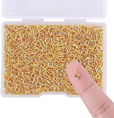 600 Stück 10mm Durch Haken, Mini Augen Schraubösen Schraubhaken Edelstahl Ösenschraube Ösenstifte Holzgewinde Augenschrauben für Harz Schmuck Perlen Schmuckherstellung und Kunststoff von Pwsap