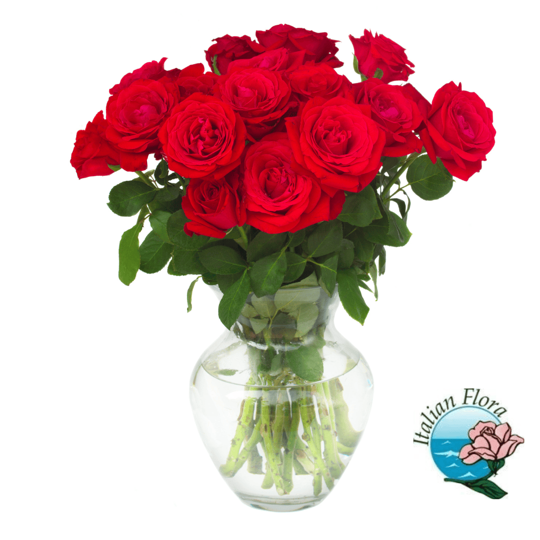 15 Red Roses - Rwanda , Deluxe 15 Red Roses - Rwanda , Deluxe von Pxwp