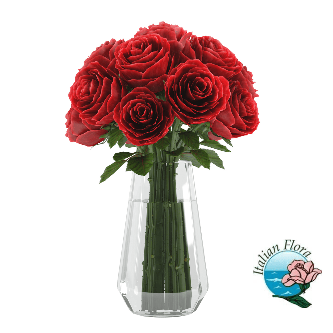 9 Red Roses in Vase - Rwanda , Deluxe 9 Red Roses in Vase - Rwanda , Deluxe von Pxwp