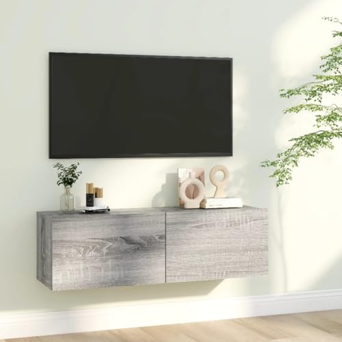 Pxznbe TV-Schrank für Wohnzimmer, Sonoma-Grau, 100 x 30 x 30 cm, mehrschichtiges Holz, elegantes Design, TV-Tisch, 2 Fächer, großer Stauraum, TV-Ständer mit Türen von Pxznbe
