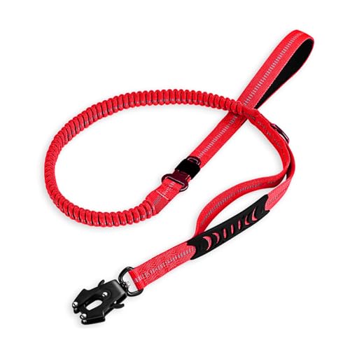 Haustier Traktionsleine Mit Sicheren Schnallen Die Hundewagengürtel Für Hunde Verschiedener Hunde Elastischer Rückenabsorption Elastischer Stoßdämpfung Haustierleine Einstellen Haustier Traktionsleine Mit Sicheren Schnallen Die Hundewagengürtel Für Hunde Verschiedener Hunde Elastischer Rückenabsorption Elastischer Stoßdämpfung Haustierleine Einstellen von Pyasuye