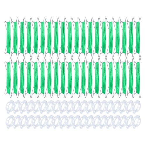 Pyasuye 40pcs Tomatenpflanze Clip Set Metal Garden Hooks Seil Für Vertikale Wachstum des Wachstums Klettern Stütze Garten Verwenden Sie Tomatenkäfig Clips Zum Klettern Stamm von Pyasuye