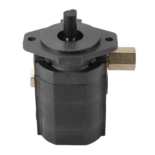 Pyhodi Pumpe der Gusseisen -Protokollsplitter, 28gpm 2 Bühnenhydraulische Holzsplitterpumpe 3000 Psi Horizontales Design für Gartenarbeit mit 1 '' Einlass 1/2 '' Npt Outlet Pyhodi Pumpe der Gusseisen -Protokollsplitter, 28gpm 2 Bühnenhydraulische Holzsplitterpumpe 3000 Psi Horizontales Design für Gartenarbeit mit 1 '' Einlass 1/2 '' Npt Outlet von Pyhodi