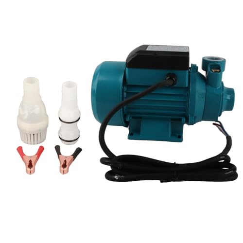 Solar Wasserpumpe 230W DC24V, 25m Förderhöhe, Große Fördermenge, IP44 Schutzklasse - Robuste Messinglaufräder, Energieeffiziente Garten Lösung, Ideal für Bewässerung und Brunnen von Pyltha