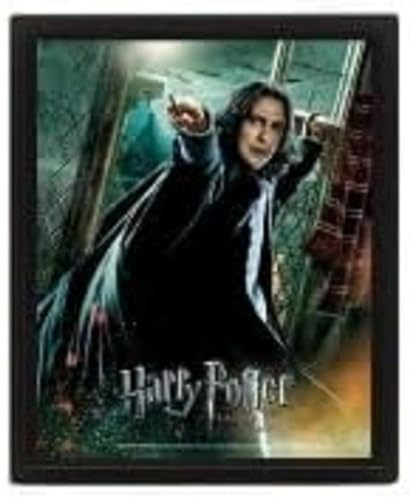 Pyramid Europe Harry Potter (Deathly Hallows Snape) 3D Bilderrahmen 30 x 40 cm von Pyramid International