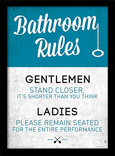 Pyramid Generic Bathroom Rules Memorabilia, Mehrfarbig, 30 x 40cm von iPosters