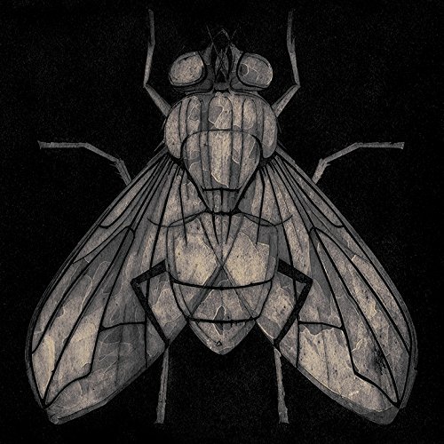 Barry Goodman Leinwanddruck, Holz, Mehrfarbig, 30 x 30 cm von Pyramid International