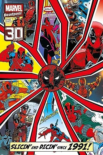 Deadpool Shattered Maxi Poster 61x91.5cm Deadpool Shattered Maxi Poster 61x91.5cm von Pyramid International
