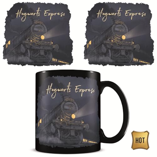 HARRY POTTER (GLIMMER OF HOPE) HEATCHANGE MUG, White von Pyramid International