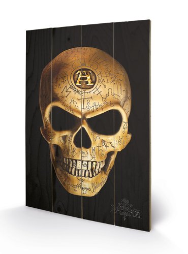 Pyramid International SW10578P Alchemy (Omega Skull) Holzwand-Kunst, Holz, Mehrfarbig, 40 x 2,5 x 59 cm von Pyramid International