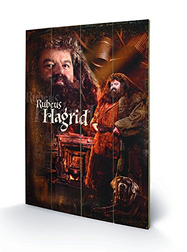 Pyramid International Harry Potter (Hagrid) Holzwand-Kunst, Holz, Mehrfarbig, 40 x 2.5 x 59 cm von Pyramid International