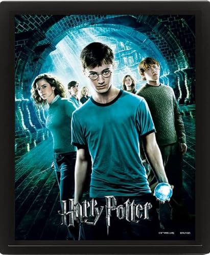 Pyramid International Harry Potter (Order Of The Phoenix) 3D Bilderrahmen 30 x 40 cm von Pyramid International