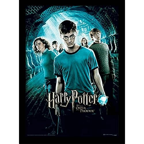 Pyramid International Harry Potter (Order of The Phoenix) 30x40 cm gerahmter Druck, 250GSM PAPERWRAP MDF, Mehrfarbig, 44 x 33 x 4 cm von Harry Potter