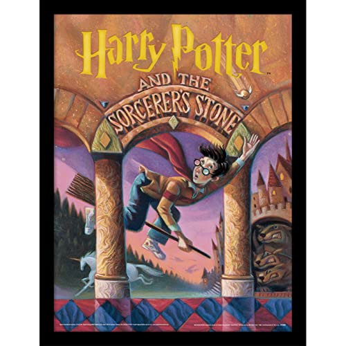 Pyramid International Harry Potter gerahmter Kunstdruck, Sammler-Edition, Zauberstein-Design, 30 x 40 cm von Pyramid International