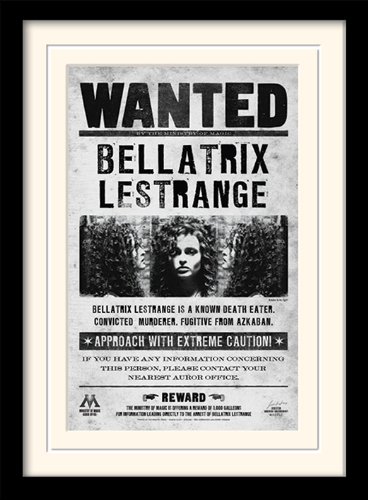 Pyramid International MP10612P-PL Harry Potter Bellatrix Wanted Gerahmter Kunstdruck mit Passepartout von Pyramid International