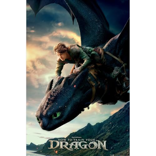 Pyramid International Maxi-Poster How to Train Your Dragon – Live Action – Zahnlos-Design auf Qualitätspapier gedruckt – 90 cm x 60 cm – Einheitsgröße von Pyramid International