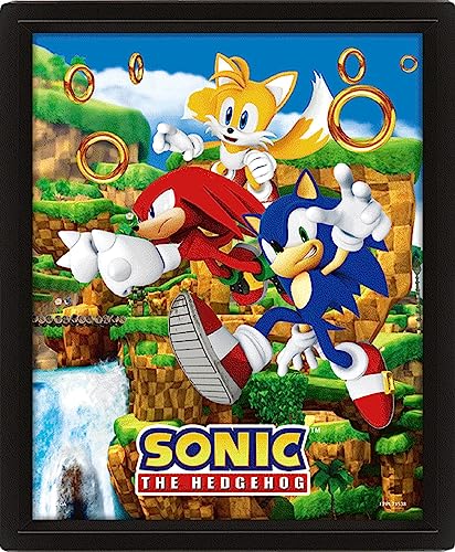 Pyramid International Sonic the Hedgehog Poster in 3D (Catching Rings Design) Lenticular 3D Wall Art and Poster in Black Picture Frame 25cm x 20cm x 1.5cm - Official Merchandise von Pyramid International