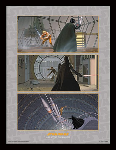 Pyramid International FP11359P-PL Star Wars (Luke Battles Darth Vader) gerahmter Druck, 250 GSM Paperwrap MDF, Mehrfarbig, 44 x 33 x 4 cm von Star Wars