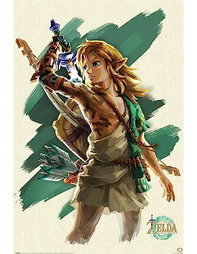 Pyramid International The Legend of Zelda Tears of the Kingdom Poster Link von Pyramid International