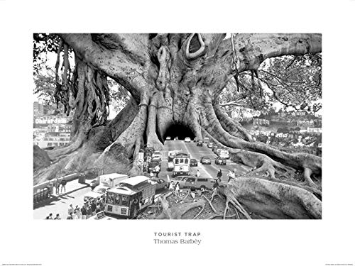 Thomas Barbey Kunstdrucke, Papier, Mehrfarbig, 60 x 80 cm Thomas Barbey Kunstdrucke, Papier, Mehrfarbig, 60 x 80 cm von Pyramid International
