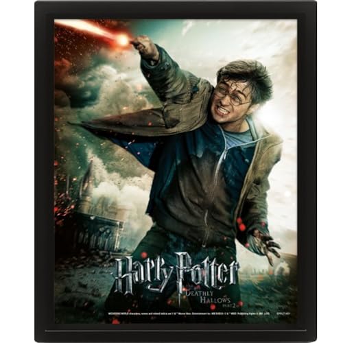 Pyramide Harry Potter Cadre 3D Lens Expelliarmus von Pyramid International