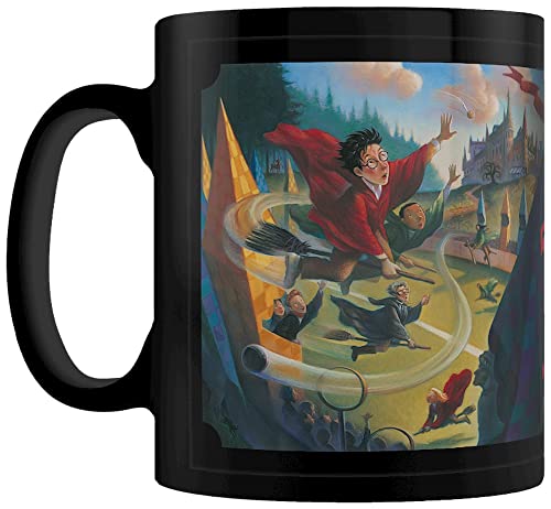 Pyramid International Harry Potter Tasse in Geschenkbox (Quidditch-Design), 325 ml, Keramiktasse – Offizielles Merchandise-Produkt von Pyramid International