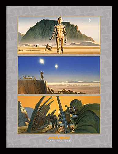 Pyramid International FP11351P-PL Star Wars (Tatooine: The Saga Begins) gerahmter Druck, 250 GSM Paperwrap MDF, Mehrfarbig, 44 x 33 x 4 cm von Star Wars