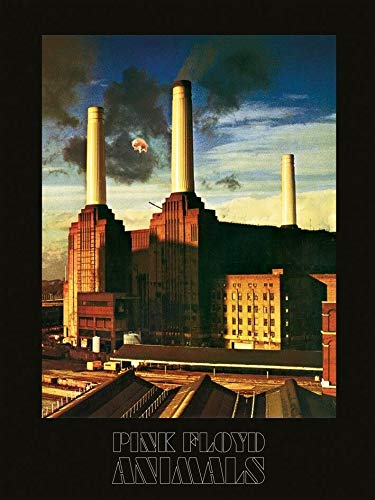 Pyramid PINK FLOYD KUNSTDRUCK ART PRINT ANIMALS POSTER von Pyramid