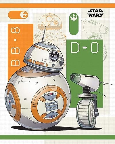 Pyramid Poster Star Wars The Rise of Skywalker BB-8 and D-0 40x50cm von Pyramid
