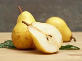 Sommerbirne 'Williams Christ', Stamm 40-60 cm, 120-160 cm, Pyrus communis 'Williams Christ', Containerware von Pyrus communis 'Williams Christ'
