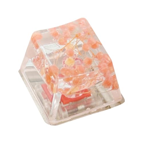 Pzuryhg Gypsophila Keycap - Harz -für Office Study Setup | durchscheinendes Material mit R4 -Profilform, Shine THEUSE des Custom -Designs, mechanische für das Eingeben von Experie verbe Pzuryhg Gypsophila Keycap - Harz -für Office Study Setup | durchscheinendes Material mit R4 -Profilform, Shine THEUSE des Custom -Designs, mechanische für das Eingeben von Experie verbe von Pzuryhg