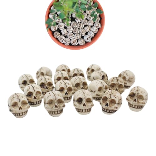 Pzuryhg Skull Statue Set, 20-Piece Small Resin Skull Sculptures, Miniature Prank Toys for Plant Pots Bookshelf Halloween Easter Festival and Home Landscaping Décor, Craft Option, 0.71 X 0.71 In Pzuryhg Skull Statue Set, 20-Piece Small Resin Skull Sculptures, Miniature Prank Toys for Plant Pots Bookshelf Halloween Easter Festival and Home Landscaping Décor, Craft Option, 0.71 X 0.71 In von Pzuryhg