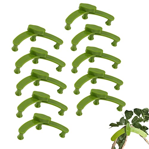 10 Stück Gewächshaus-Clips Pflanzenbieger Zweigklemmen für Obstbäume Pflanzentrainer-Clips Pflanzenzweigbieger-Clips für Pflanzenwachstum (grün) Pflanzenbieger Zweigklemmen für Obstbäume Tomatenklemme von Pzzsdato