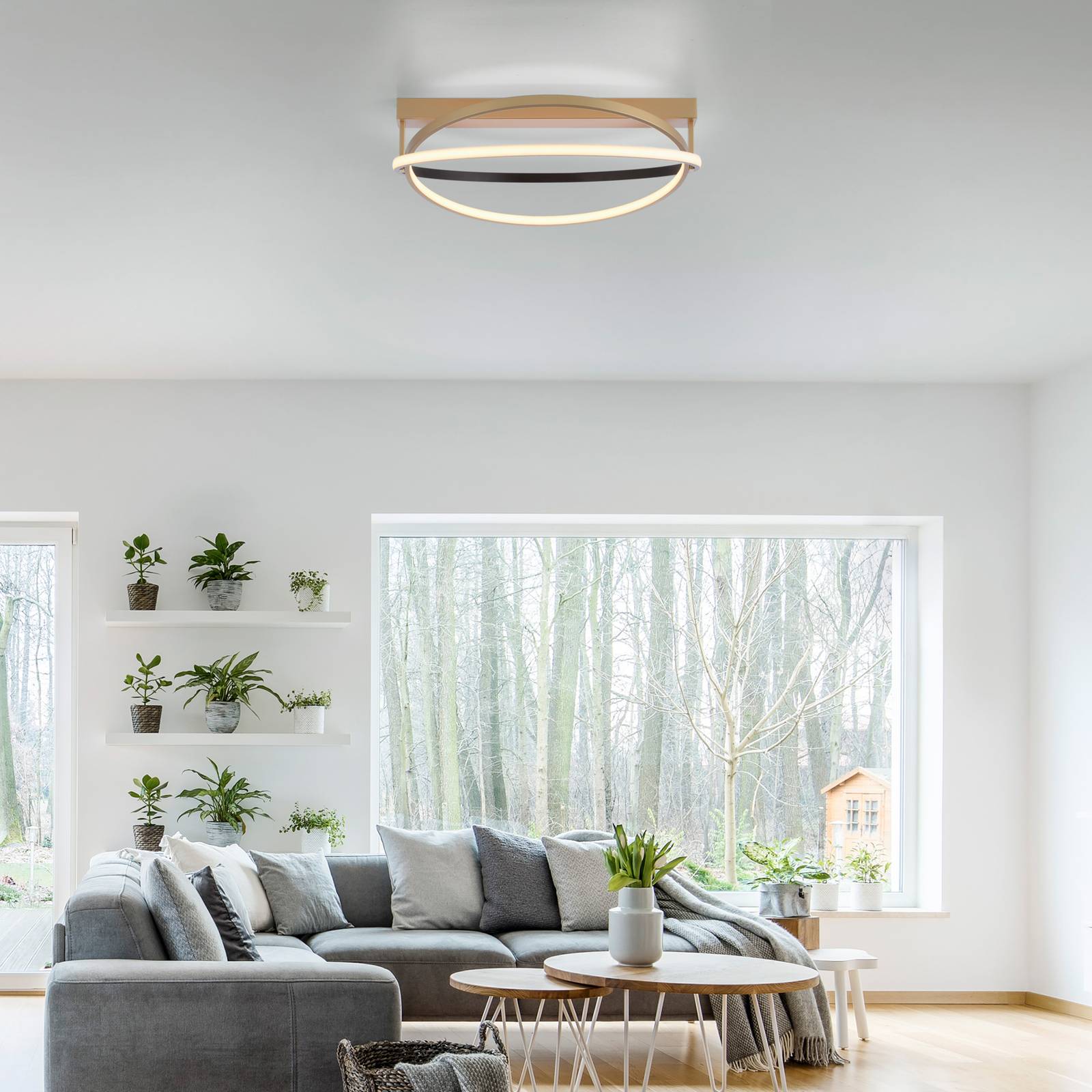 Paul Neuhaus Q-Beluga LED-Deckenleuchte, messing von Q-Smart-Home