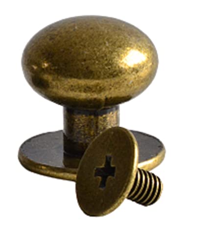 Buchschrauben 8mm | 10 Stück | Farbe: Messing | Schraubnieten für Leder basteln | Hülsenmutter + Schrauben | nieten 5mm – 12mm verfügbar | nieten zum schrauben | Chicago schrauben/Kopfnieten von Q Tools
