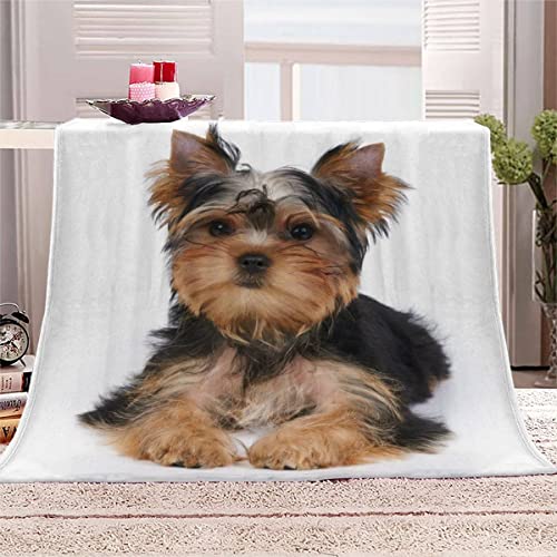 3D Yorkshire-Terrier Kuscheldecken Teenager Jungen Mädchen Haustier Hund Weiche Flauschig Flanelldecke Sherpa Fleecedecke Winter Warmer Wohndecke Sofa Bett Dekorative Decke 130x150 cm von QALEYA