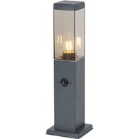 Qazqa - Außenleuchte Dunkelgrau mit Rauchglas 45cm IP44 mit Steckdose und Bewegungssensor - Malios von QAZQA