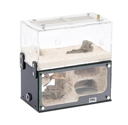 Ameisenfarm Erweiterungsnest Feuchtigkeitsspendendes Formicarium-Box pädagogische Werkstatt Acryl Insektenvilla Ameisen Haus Schloss von QAZXDRFG
