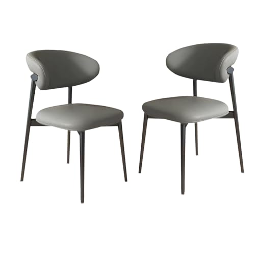 Esszimmerstühle, 2er-Set, Lounge-Esszimmerstuhl mit gepolsterter Rückenlehne, robust, einfach zu montieren, geeignet für Wohnzimmer, Esszimmer, Freizeitbereich usw. B-Dunkelgrau 21,3 Zoll * 18,9 von QAZXDRFG