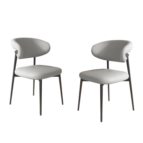 Esszimmerstühle, 2er-Set, Lounge-Esszimmerstuhl mit gepolsterter Rückenlehne, robust, einfach zu montieren, geeignet für Wohnzimmer, Esszimmer, Freizeitbereich usw. B-Nebelgrau 21,3 Zoll * 18,9 Z von QAZXDRFG