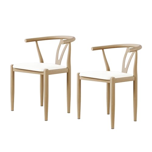 Esszimmerstühle 2er-Set, Lounge-Esszimmerstuhl mit gepolsterter Rückenlehne, robust, einfach zu montieren, geeignet für Wohnzimmer, Esszimmer, Freizeitbereich usw. B-Weiß 18,1 Zoll * 16,11 Zoll * von QAZXDRFG