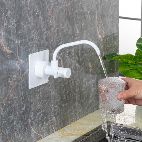 Ro Wasserhahn-Wandhalterung für Küchenspüle, 360 ° drehbar, nur Kaltwasser, Einzelgriff, Weiß von QAZXDRFG