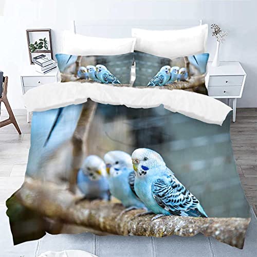 Bettwäsche 155x220 Blauer Papagei Bettbezug 155x220 mit Reißverschluss - Warme Flauschige Weiche Allergiker Mikrofaser Bettwäsche + 2 Kopfkissenbezug 80x80 cm(Größe kann geändert Werden) von QBIDCSX