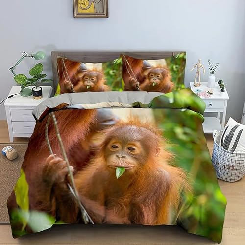 QBIDCSX Bettwäsche 200x200 Gorilla Bettwäsche-Sets mit Reißverschluss Schließung für Kinder Mädchen Jugendliche Weicher Atmungsaktive Mikrofaser Bettbezug + 2 Kopfkissenbezug 80x80 cm QBIDCSX Bettwäsche 200x200 Gorilla Bettwäsche-Sets mit Reißverschluss Schließung für Kinder Mädchen Jugendliche Weicher Atmungsaktive Mikrofaser Bettbezug + 2 Kopfkissenbezug 80x80 cm von QBIDCSX