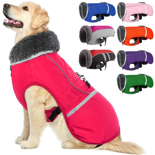 QBLEEV Hundewintermantel, warm, reflektierende Hundejacke, Rollkragen, wasserdicht, für kaltes Wetter, dickes Fleecefutter Hund-, Haustierbekleidung, Weste, Schneeanzug für alle Hundegrößen, Größe XL von QBLEEV